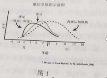 2019年上半年教师资格考试《幼儿园综合素质》真题及答案解析