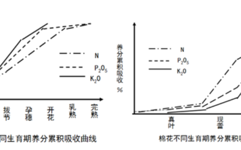 2024年秋江苏开放大学植物营养学平时作业3答案